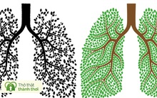 7 cách làm sạch phổi tự nhiên phòng chống COVID-19: Những người sau đây bắt buộc phải làm