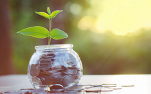 Điểm danh những doanh nghiệp chốt quyền nhận cổ tức bằng tiền, bằng cổ phiếu và cổ phiếu thưởng tuần từ 27/12 đến 31/12/2021