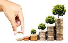 Sara Việt Nam (SRA) chào bán hơn 18 triệu cổ phiếu với giá 10.000 đồng/cp