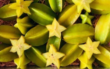 12 món ăn cực kỳ độc nếu không chế biến đúng cách: 5 món thường thấy ở Việt Nam