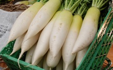 6 loại củ ăn vào mùa đông còn tốt hơn cả nhân sâm