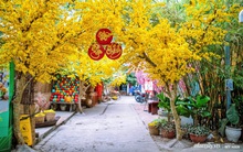 Phố ông Chảnh - khu xóm nổi tiếng nhất miền Tây hiện nay vì hàng chục hộ dân "hiến" sân, góp vườn để trang trí tiểu cảnh đón Tết, kinh phí lên tới hơn 200 triệu đồng