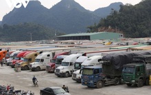 Ùn ứ nông sản, lệ thuộc thị trường truyền thống: Than thở trường kỳ!