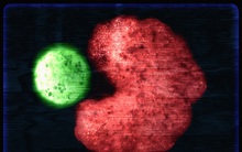 Năm 2021: AI đã giúp robot sinh sản, ranh giới giữa máy móc với sinh vật đã chính thức bị xóa nhòa