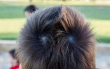 Nếu con có dấu hiệu này, bố mẹ đừng lầm tưởng là THÔNG MINH: Các nhà khoa học nói rồi, nó chẳng liên quan gì đến IQ cả!