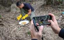 Influencer bị cấm khoe giàu, làm nội dung 'câu view', người dùng Trung Quốc chuyển sang xem video về... nông thôn