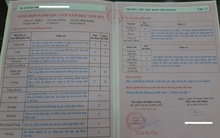 Bảng điểm của bé gái 8 tuổi bóc trần sự dối trá của dì ghẻ khi nói "đánh bé vì chậm hiểu"