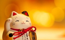 8 dấu hiệu cho thấy vận may của bạn đang đến gần: Có quá 3 thì xin chúc mừng, mọi sự sắp tới sẽ hanh thông và thuận buồm xuôi gió!