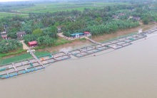 Hải Dương họp bàn cách khai thác "kho báu" 35.000 tấn đang náu dưới sông