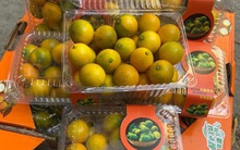 Loại quả nhập khẩu sang chảnh bất ngờ được rao bán với giá rẻ chưa từng có chỉ từ 35.000 đồng/hộp