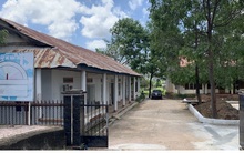 Nỗi đau của nhà đầu tư sau cổ phần hóa các công ty nông lâm nghiệp nhà nước