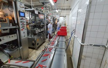 Bác sĩ Trương Hữu Khanh hướng dẫn cách xử lý khi doanh nghiệp có F0