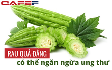 Ăn nhiều rau củ có vị đắng giúp ngăn ngừa ung thư, nhưng tuyệt đối không được ăn 2 loại này kẻo tự HẠ ĐỘC chính mình