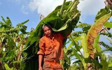 Nghề "làm chơi, ăn thiệt"