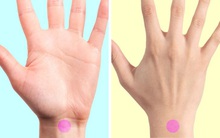 Phương pháp cổ truyền đơn giản giúp người Nhật phòng bệnh mỗi ngày: Chỉ xoa bóp 1 bàn tay bớt được bao gánh lo về lục phủ ngũ tạng