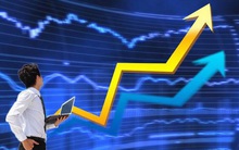 Thị trường giảm sâu, nhiều cổ phiếu vẫn ngược dòng bứt phá, thậm chí lập đỉnh mới