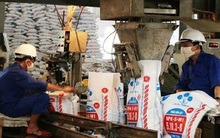 Vinachem bán đấu giá hơn 21 triệu cổ phiếu Lâm Thao (LAS) với giá trị khởi điểm 603 tỷ đồng, giảm tỷ lệ sở hữu xuống mức 51%