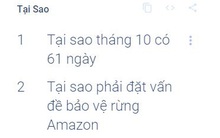 'Tại sao tháng 10 có 61 ngày?' là câu hỏi khiến người Việt thắc mắc nhất năm 2021