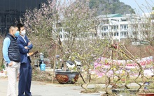 Chợ hoa Hạ Long ảm đạm vì dịch Covid-19