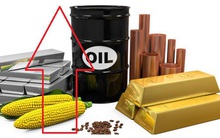 Thị trường ngày 11/2: Giá dầu tăng 9 phiên liên tiếp, đồng đạt “đỉnh” 8 năm, bạch kim cao nhất 6 năm