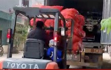 Hải Dương xuất bán 48 tấn cà rốt trong ngày mùng 1 Tết