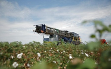 Giá dầu tăng ngay sớm đầu tuần do lo ngại gia tăng căng thẳng ở Trung Đông, WTI vượt 60 USD