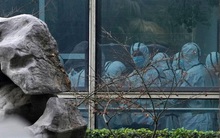 WHO phát hiện sự thật động trời khi điều tra nguồn gốc Covid-19 tại Vũ Hán: Đã có tới hàng chục biến chủng ngay từ năm 2019