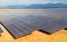 Thủ tướng: Tuyệt đối không để xảy ra tình trạng phát triển ồ ạt điện mặt trời theo phong trào