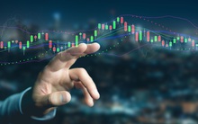 Nắm giữ cổ phiếu “cơ bản”, nhà đầu tư lãi nhiều lần trong 10 năm qua