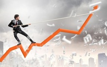 Các pha bẻ lái lợi nhuận năm 2020 chuyển từ lỗ lớn sang có lãi