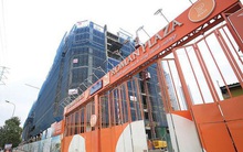 Hải Phát (HPX): Quý 4 lãi 187 tỷ đồng, giảm 42% so với cùng kỳ 2019