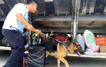 Đề nghị thu hồi 'khẩn' tiền hoàn thuế hàng trăm tỷ của hai doanh nghiệp phía Nam