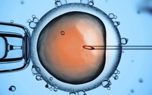 Chính thức cấm "thuốc hối hận" trong sinh đẻ, hy vọng làm mẹ của những phụ nữ "quá lứa nhỡ thì" ở Trung Quốc càng thêm mong manh