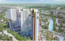 Chưa truy thu được gần 400 tỷ, Cục Thuế TP.HCM đề nghị bỏ biện pháp khẩn cấp tạm thời