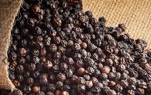 Sản lượng hạt tiêu thế giới kết thúc một thập kỷ tăng liên tiếp