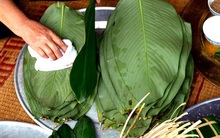 Ngoài gói bánh chưng, chuyên gia tiết lộ lá dong còn có thể chữa bệnh theo cách này nhưng không phải ai cũng biết