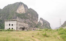 15 doanh nghiệp tỉnh bị ‘bêu tên’ vì nợ thuế, Xi măng Phú Sơn nợ thuế gần 17 tỷ đồng