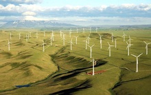 Quảng Trị quyết định cho nhà đầu tư thuê đất triển khai dự án điện gió Liên Lập với tổng vốn đầu tư gần 2.000 tỷ đồng