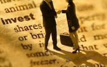 PGT: Thị giá tăng 155% từ đầu năm, chuẩn bị nới room ngoại lên 85%