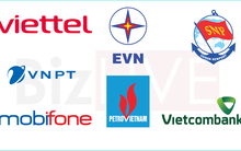 Đề xuất 7 doanh nghiệp nhà nước giữ vai trò “sếu đầu đàn”