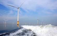 Điện gió ngoài khơi trong dự thảo Quy hoạch điện VIII chỉ chiếm 1,45-2% tổng công suất điện, các tổ chức quốc tế nói gì?