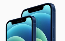 Apple đã đánh giá quá cao iPhone 12 mini?