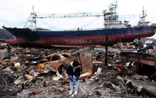 Đây là cách những quả dâu tây giá 10 USD hồi sinh một vùng đất chết sau thảm họa lịch sử