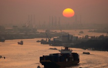 Kinh tế trưởng World Bank tại Việt Nam: Để hỗ trợ trực tiếp đối tượng bị ảnh hưởng bởi Covid-19, Mobile Money sẽ là một giải pháp đáng chú ý