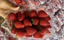 Mùng 1, hoa tươi giảm giá, dâu tây siêu rẻ