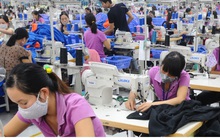 Một số mặt hàng dệt may xuất khẩu sang EAEU vượt ngưỡng quy định