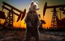 Bất đồng về triển vọng thị trường dầu mỏ sau đại dịch Covid-19