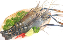 Tập đoàn PAN đã mua thêm hơn 6 triệu cổ phiếu FMC, nâng tỷ lệ sở hữu cả nhóm lên gần 65%