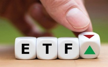 Liên tục bán ròng hàng loạt bluechips, vì sao khối ngoại vẫn chi hàng nghìn tỷ đồng mua FUEVFVND?