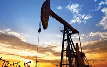 Goldman: Giá dầu giảm là cơ hội để mua vào